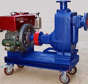 ���͙C(j��)�������o(w��)�������۱�ZWC